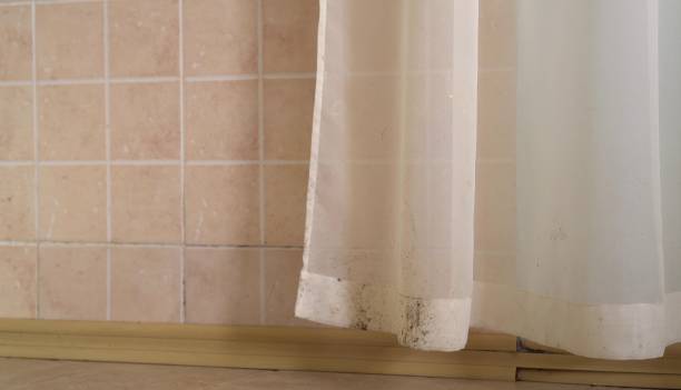  Midland City, AL Mold Removal Pros
