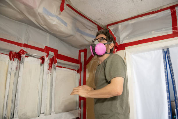 Best Black Mold Removal  in Midland City, AL