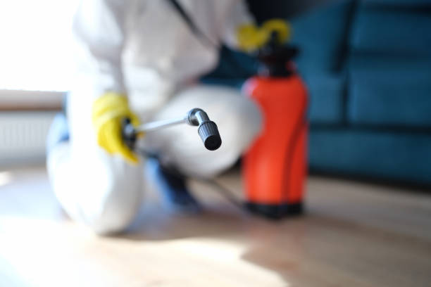 Best Asbestos and Lead Testing During Mold Inspection  in Midland City, AL
